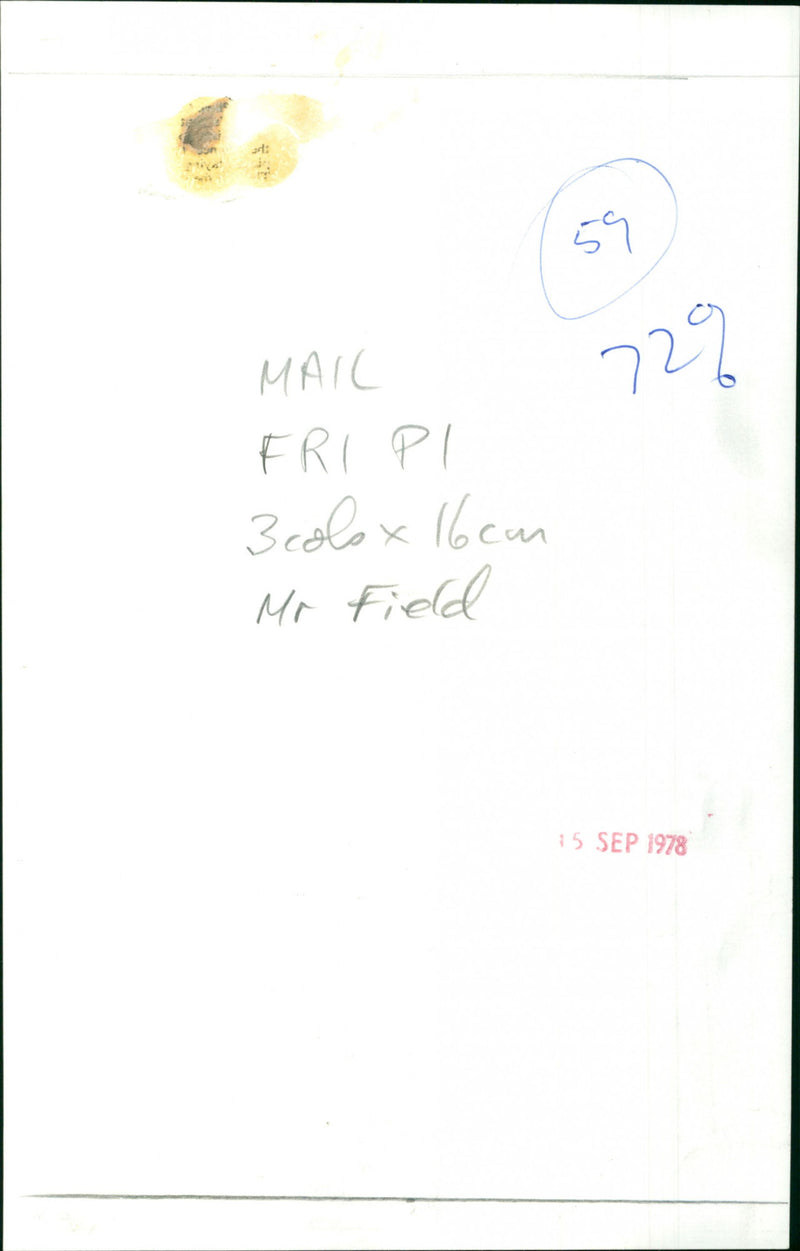 Mr Field - Vintage Photograph