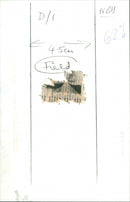 Geraldine Field - Vintage Photograph