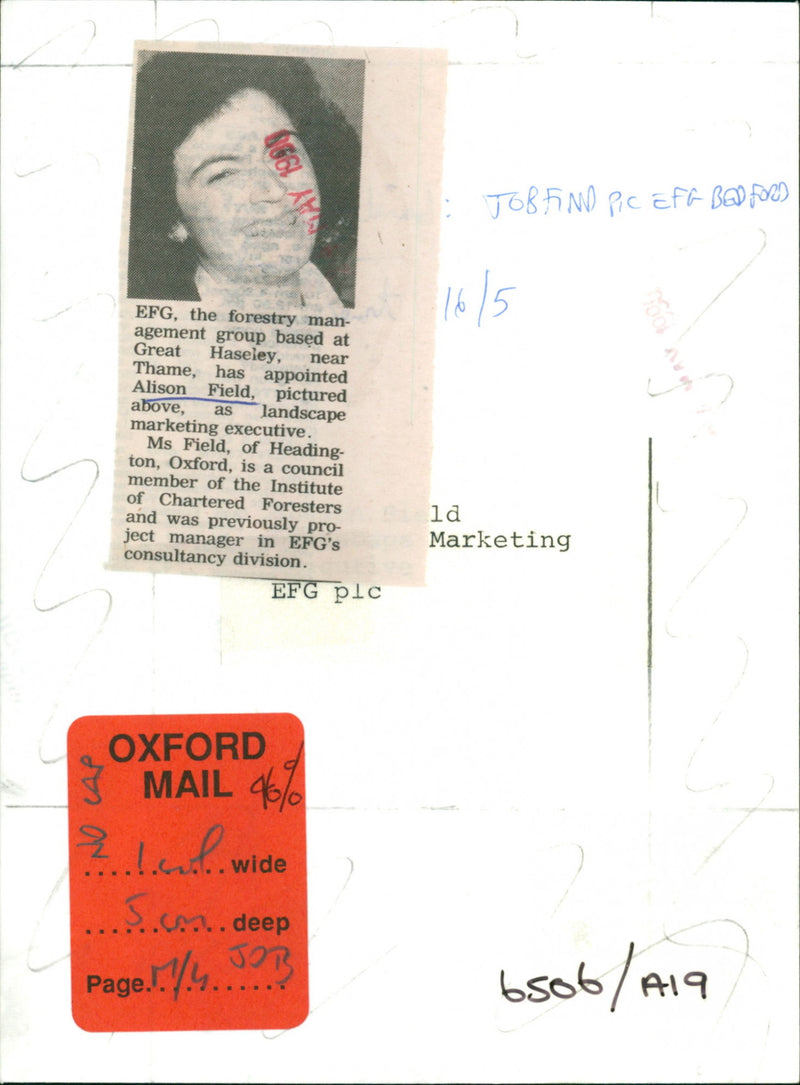 Alison Field - Vintage Photograph