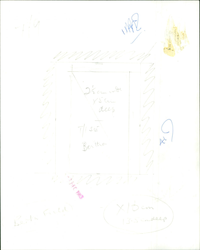 Berta Field - Vintage Photograph