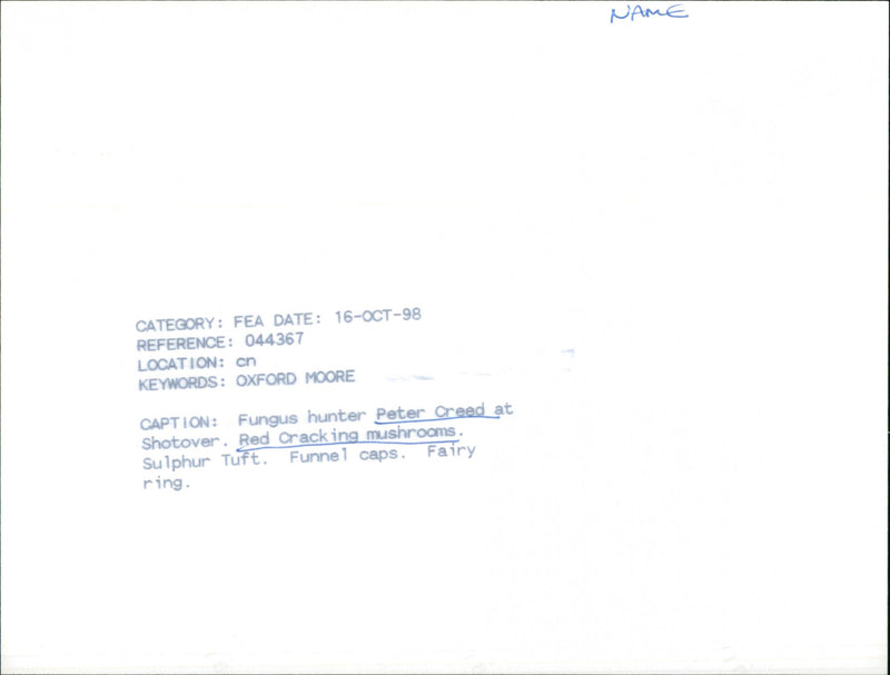 Peer Creed - Vintage Photograph