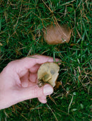 Peer Creed - Vintage Photograph