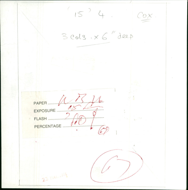 Mrs. Cox - Vintage Photograph