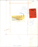 Tony Curtis - Vintage Photograph