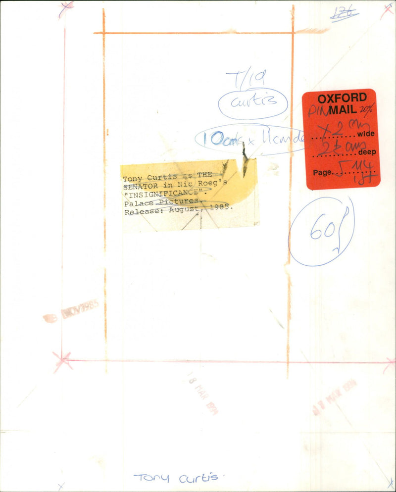 Tony Curtis - Vintage Photograph