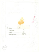 Sinead Cusack - Vintage Photograph