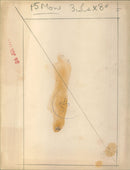 Sinead Cusack - Vintage Photograph