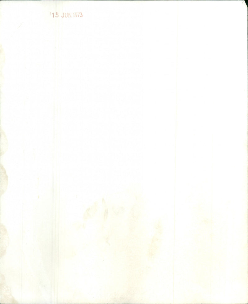 Diane Cilento - Vintage Photograph