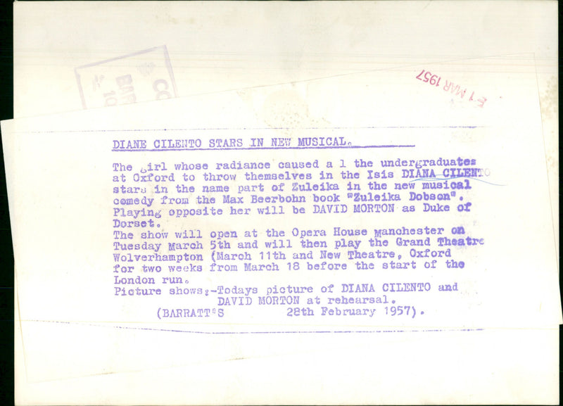 Diane Cilento - Vintage Photograph