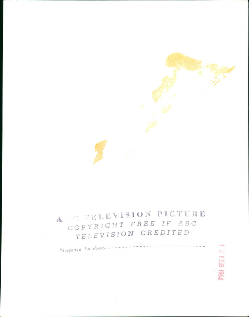 Jackie Collins - Vintage Photograph