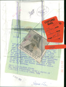 Jackie Collins - Vintage Photograph