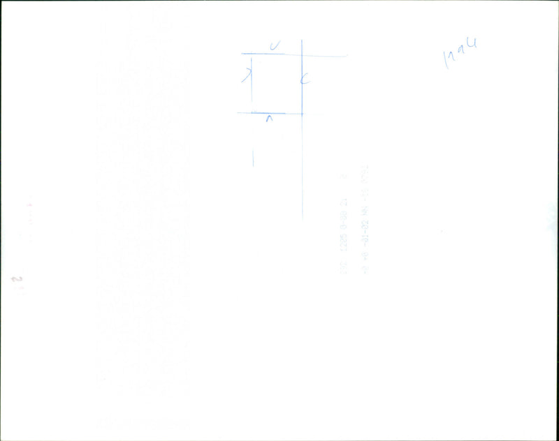 Joan Collins - Vintage Photograph