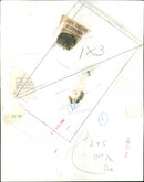 Joan Collins - Vintage Photograph