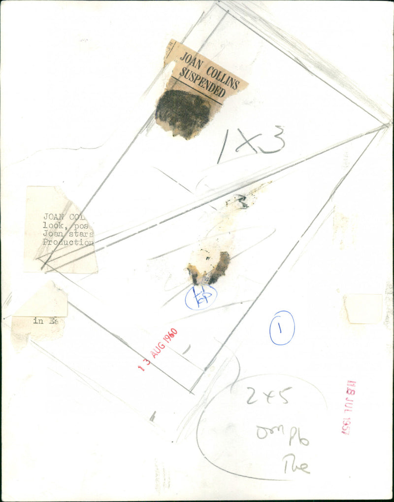 Joan Collins - Vintage Photograph