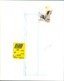 Joan Collins - Vintage Photograph