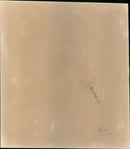 Joan Collins - Vintage Photograph