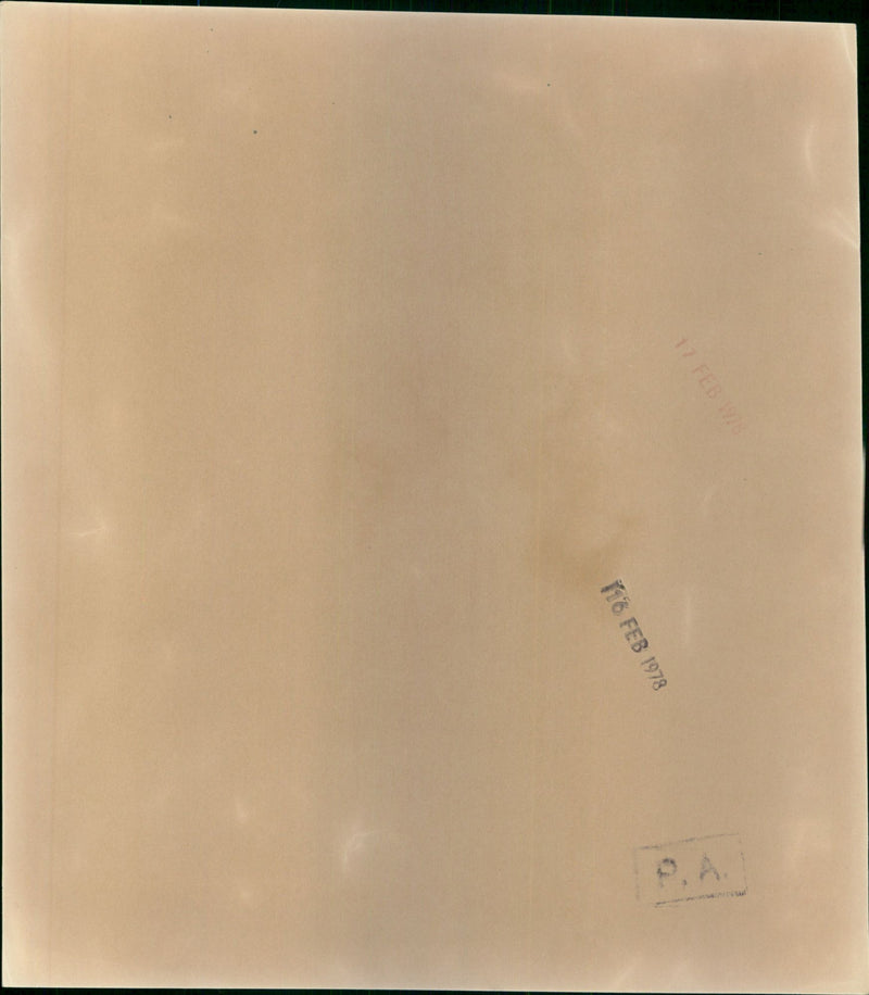 Joan Collins - Vintage Photograph