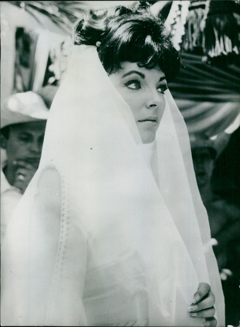 Joan Collins - Vintage Photograph