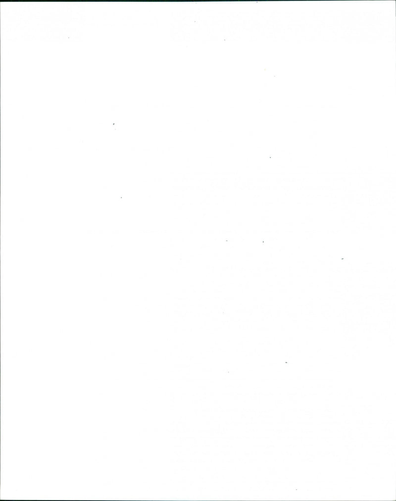 Cypress Hill - Vintage Photograph