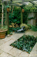 Kathy Colman - Vintage Photograph