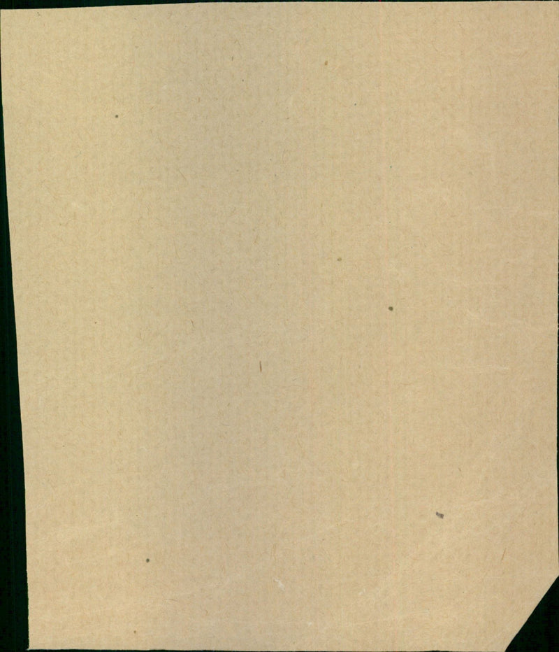 Colloff Nicholas - Vintage Photograph