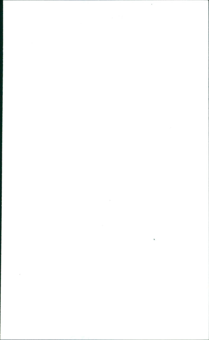 Anne Conway - Vintage Photograph