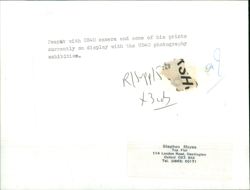 Peanut - Vintage Photograph