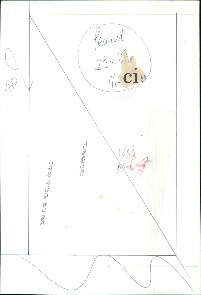 Hero Punk Peanuts - Vintage Photograph