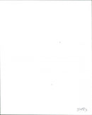 Cosmic Rough Riders - Vintage Photograph