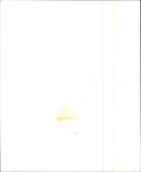 Richard Chamberlain - Vintage Photograph