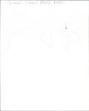 Cosmic Rough Riders - Vintage Photograph