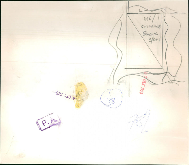 Mr L. Cosgrave, Fitzgerald - Vintage Photograph