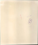 Mr Liam Cosgrave, Mr E. Heath - Vintage Photograph