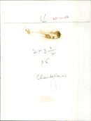 Chamberlayne - Vintage Photograph