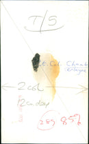 Lieutenant Colonel John Chamberlayne - Vintage Photograph