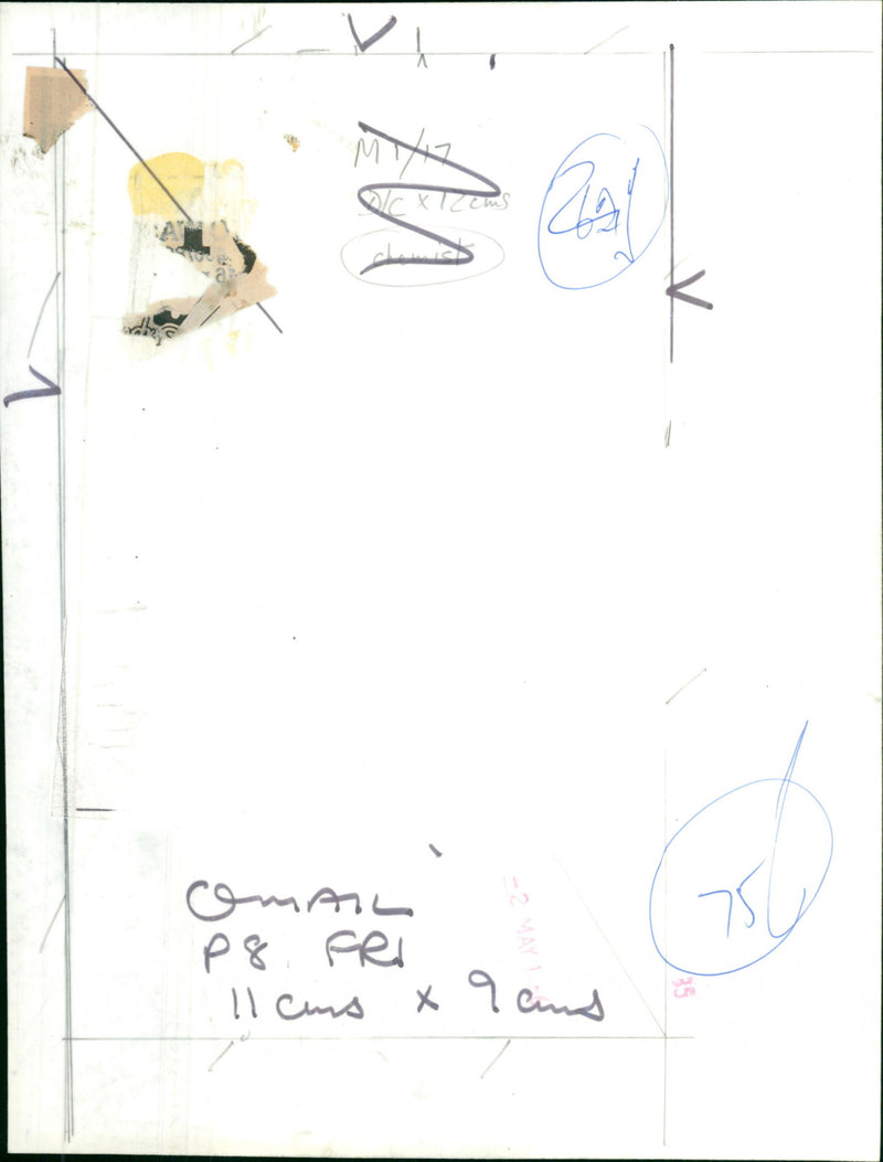 Robin Cooper - Vintage Photograph