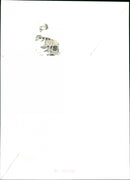 FDA - Vintage Photograph