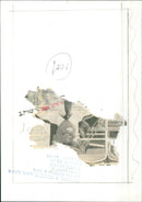 Coles Walter - Vintage Photograph