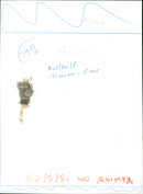 Raymond Cooper - Vintage Photograph