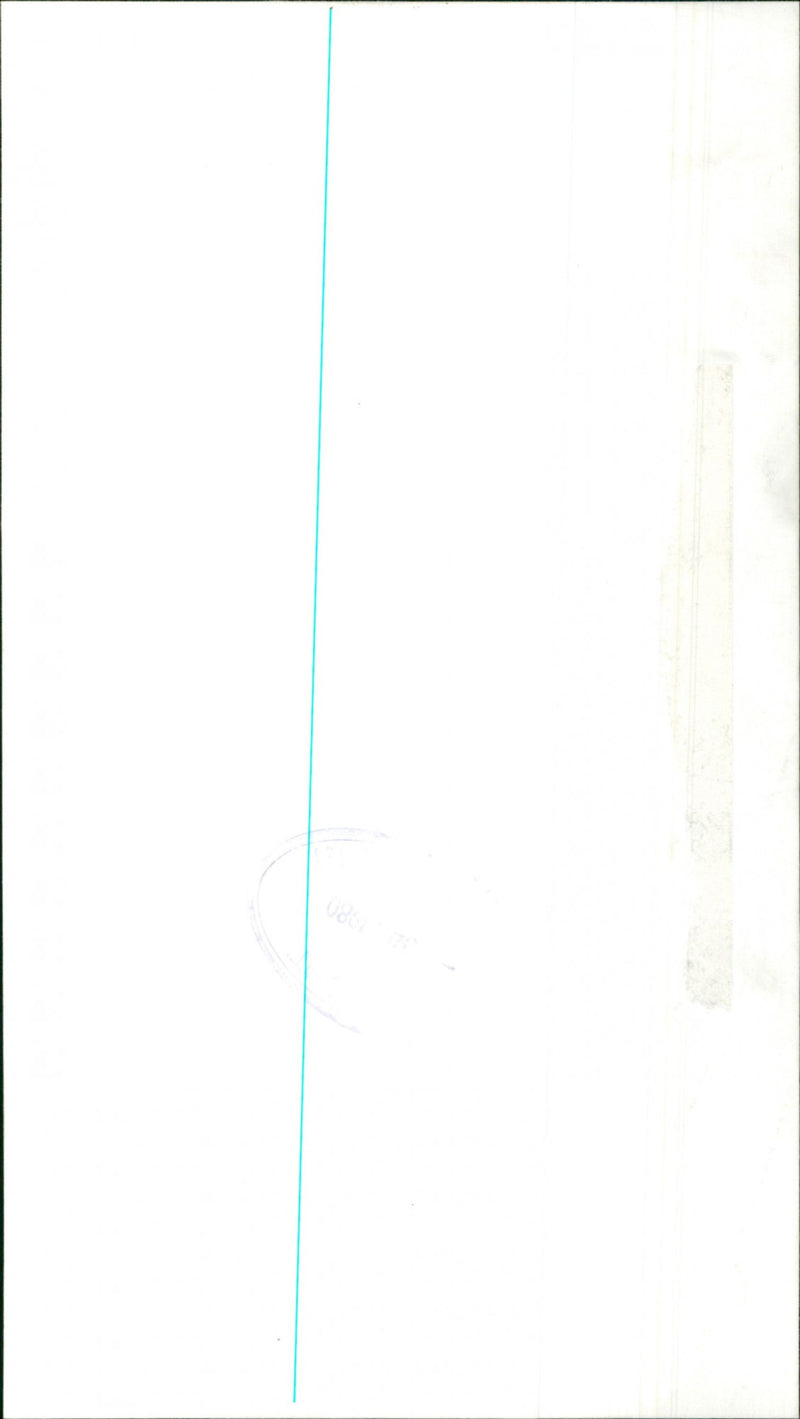 Payne - Vintage Photograph