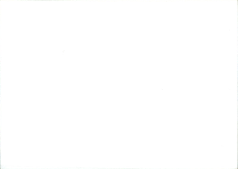 Neal Casal - Vintage Photograph