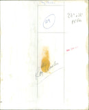 Ray Charles - Vintage Photograph