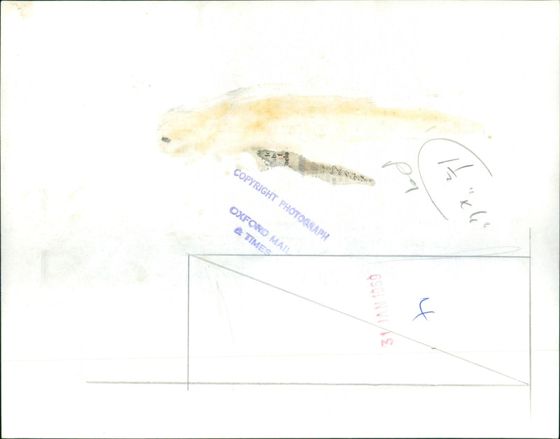 King Charles I - Vintage Photograph