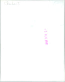 King Charles I - Vintage Photograph