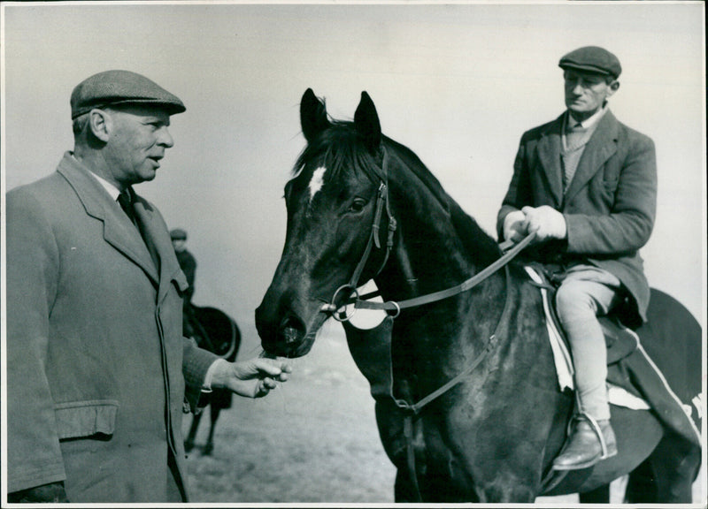 Peter Gomez rides Bermondsey, a two-year-old bay or brown colt in training at Maj Nelson’s stables in Ambourn. - Vintage Photograph