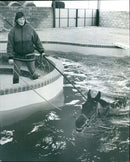 Vickie Mckie - Vintage Photograph