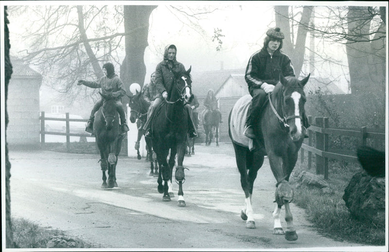 Faculty Pabala Welsh pearl - Vintage Photograph