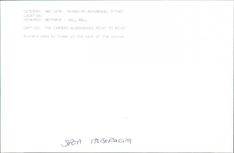 The farmers bloodhounds point to point - Vintage Photograph