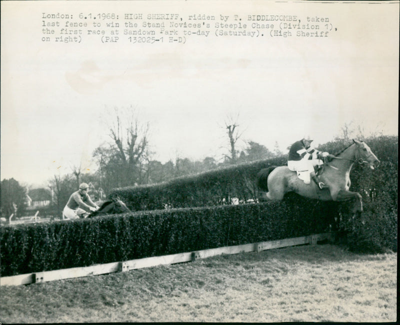 High Sheriff ridden by T Biddlecombe - Vintage Photograph