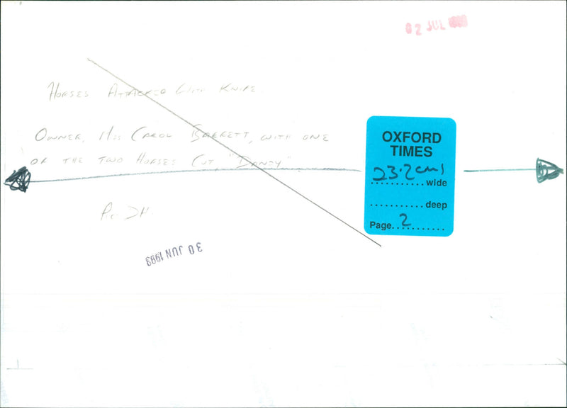 Carol Barrett - Vintage Photograph